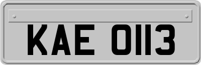 KAE0113