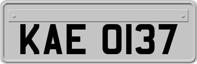 KAE0137