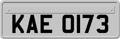 KAE0173