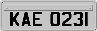 KAE0231