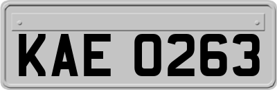 KAE0263