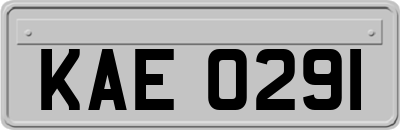 KAE0291