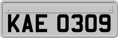 KAE0309
