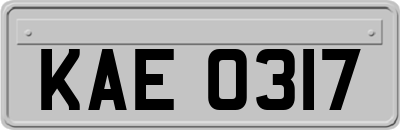 KAE0317