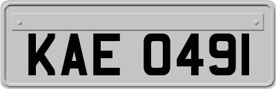 KAE0491