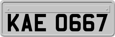 KAE0667