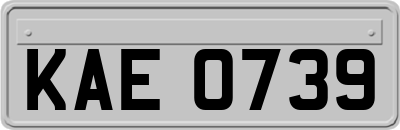 KAE0739