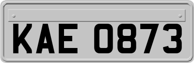 KAE0873