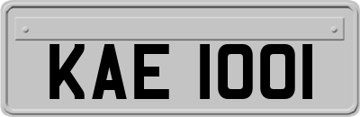 KAE1001