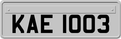 KAE1003