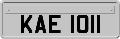 KAE1011