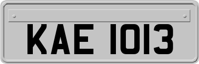 KAE1013