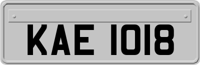 KAE1018