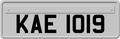 KAE1019