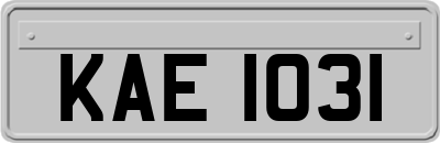 KAE1031