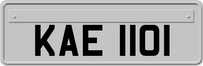 KAE1101