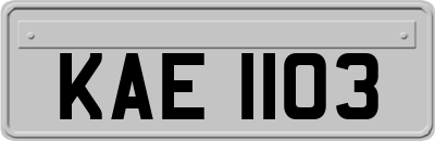 KAE1103