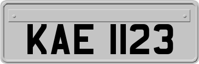 KAE1123
