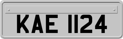 KAE1124