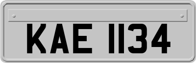 KAE1134