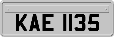 KAE1135