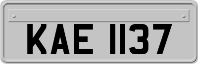KAE1137