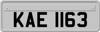 KAE1163