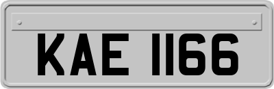 KAE1166