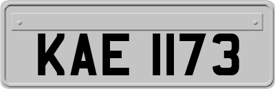 KAE1173