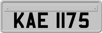 KAE1175