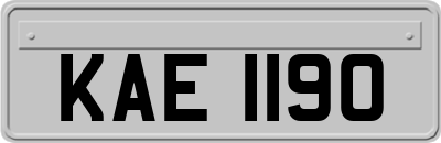 KAE1190