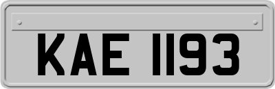 KAE1193