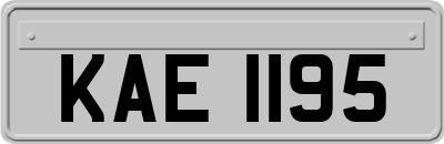 KAE1195