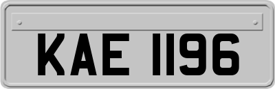 KAE1196