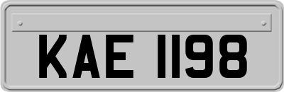 KAE1198
