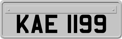 KAE1199