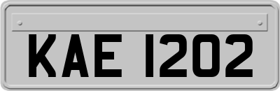 KAE1202