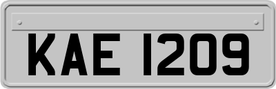 KAE1209