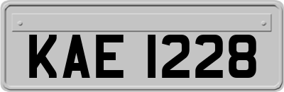 KAE1228