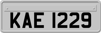 KAE1229