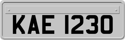 KAE1230
