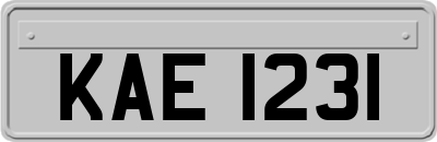 KAE1231