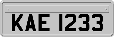 KAE1233