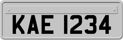 KAE1234