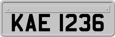 KAE1236