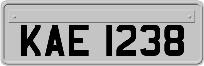 KAE1238