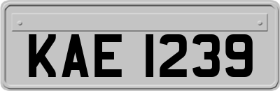KAE1239