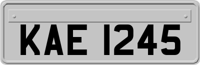 KAE1245