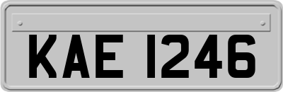 KAE1246