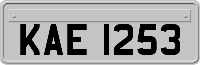 KAE1253